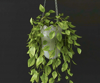 Modern Potted Green Plant-ID:226234916
