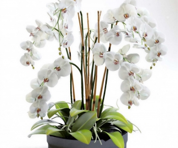 Modern Potted Green Plant-ID:671500924