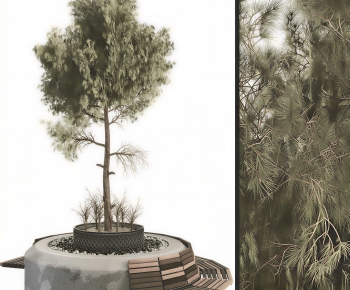 Modern Tree Pool-ID:181770349
