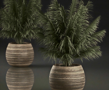 Modern Ground Green Plant Potted Plants-ID:598068951