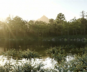 Modern Landscape-ID:984499934