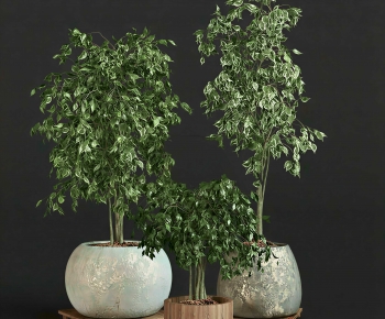 Modern Ground Green Plant Potted Plants-ID:418587921