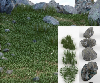 Modern The Grass-ID:810172084