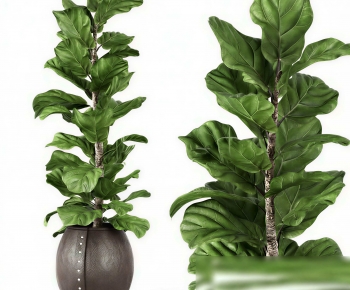 Modern Ground Green Plant Potted Plants-ID:742157942