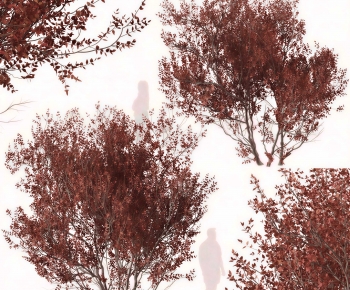 Modern Tree-ID:618899117