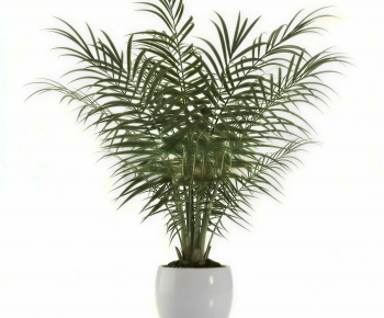 Modern Ground Green Plant Potted Plants-ID:830120092