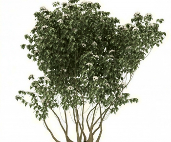 Modern Shrubbery-ID:185821066