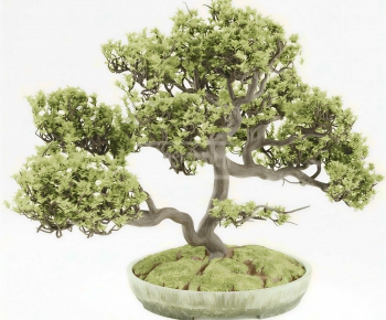 New Chinese Style Bonsai-ID:370395907