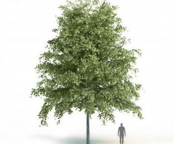Modern Tree/shrub/grass-ID:545586117
