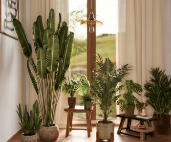 Modern Ground Green Plant Potted Plants-ID:295865067