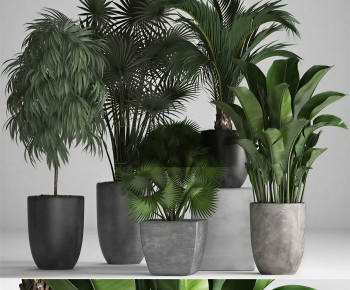 Modern Ground Green Plant Potted Plants-ID:789365053