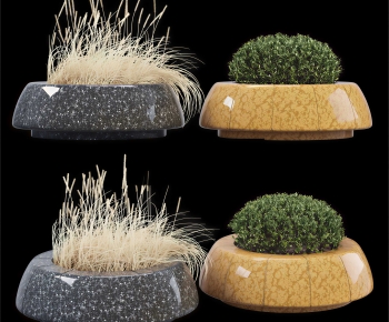 Modern Potted Green Plant-ID:250736955
