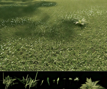 Modern The Grass-ID:266139537