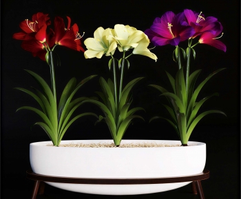 Modern Bonsai-ID:225849275