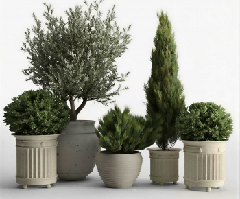 Modern Ground Green Plant Potted Plants-ID:115089894