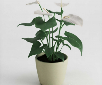 Modern Potted Green Plant-ID:540505893