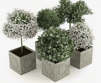 Modern Ground Green Plant Potted Plants-ID:329523093
