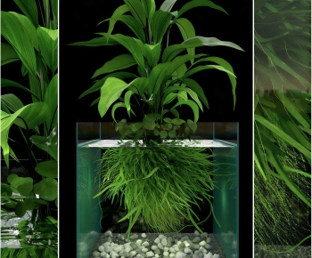Modern Fish Tank-ID:344329123