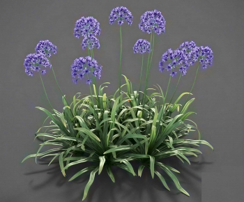 Modern Flowers And Grass-ID:472732072