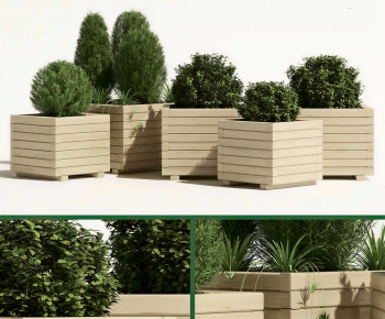 Modern Flower Bed, Flower Bowl, Flower Box-ID:979079016