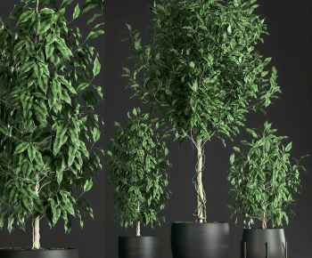 Modern Ground Green Plant Potted Plants-ID:303570038