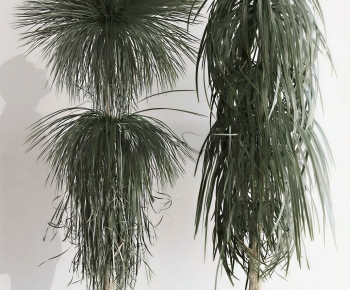 Modern Ground Green Plant Potted Plants-ID:422219995