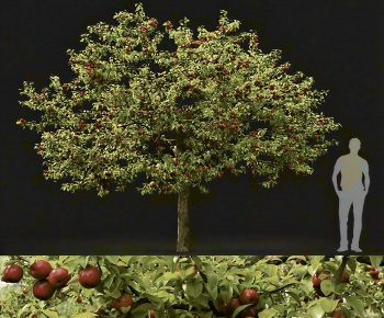Modern Tree-ID:531528955