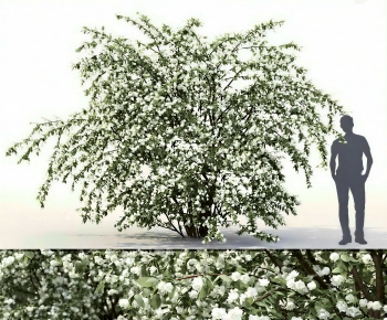 Modern Shrubbery-ID:930372003