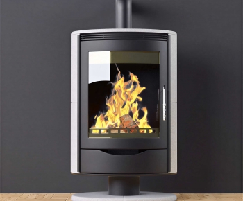 Modern Fireplace-ID:316107037
