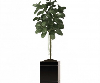 Modern Ground Green Plant Potted Plants-ID:779750343