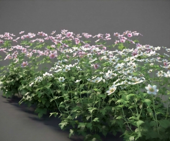 Modern Flowers And Grass-ID:371062998