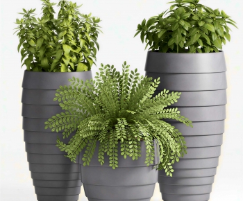 Modern Ground Green Plant Potted Plants-ID:782057051