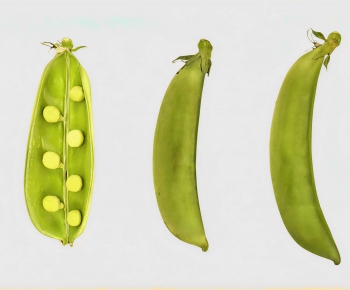 Modern Vegetables-ID:654139045