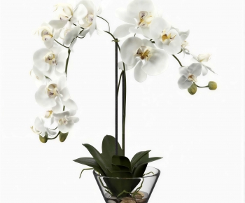 Modern Bonsai-ID:778615001
