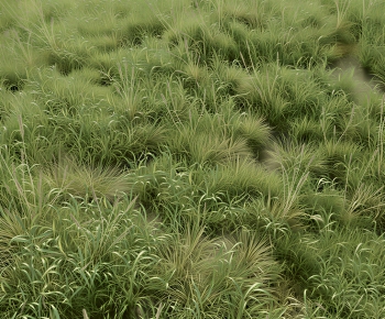 Modern Flowers And Grass-ID:689181095