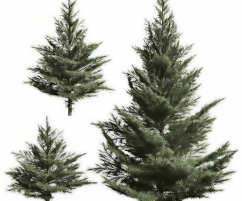 Modern Tree-ID:840353972