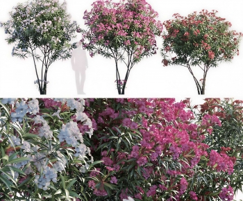 Modern Shrubbery-ID:940962086
