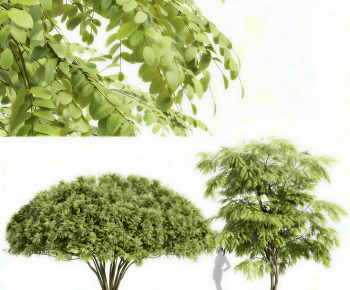 Modern Shrubbery-ID:655680892