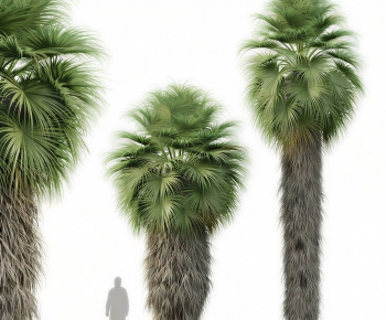 Modern Tree-ID:636069061