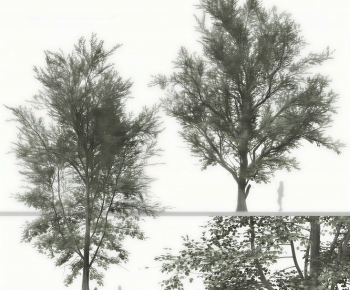Modern Tree-ID:819134006