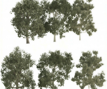 Modern Tree-ID:839449886