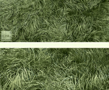 Modern The Grass-ID:364032031