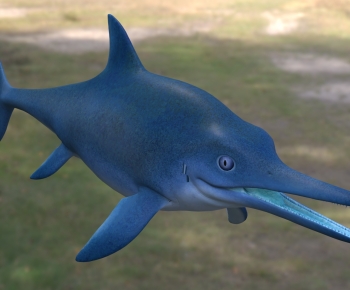 Modern Aquatic Animals-ID:724807981