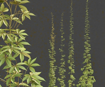 Modern The Grass-ID:308531056