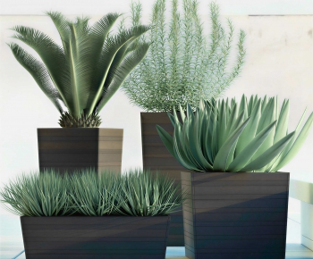 Modern Flower Bed, Flower Bowl, Flower Box-ID:735184919