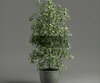 Modern Ground Green Plant Potted Plants-ID:770260109