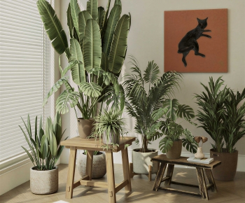 Modern Ground Green Plant Potted Plants-ID:739737036