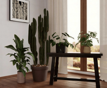 Modern Ground Green Plant Potted Plants-ID:371160569