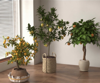 Modern Ground Green Plant Potted Plants-ID:615165952