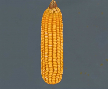 Modern Vegetables-ID:387653115